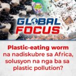 Plastic-eating worm na nadiskubre sa Afrika, solusyon na nga kaya sa plastic pollution